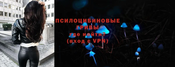 гашик Гусев
