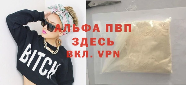 гашик Гусев