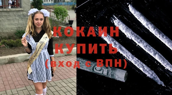 спайс Гусь-Хрустальный