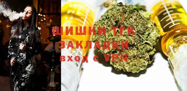 ГАЛЛЮЦИНОГЕННЫЕ ГРИБЫ Вязники