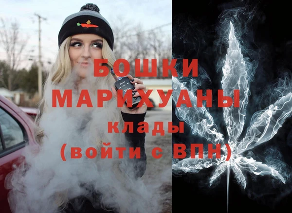 спайс Гусь-Хрустальный