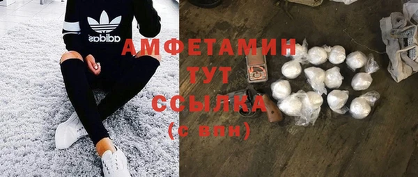 гашик Гусев