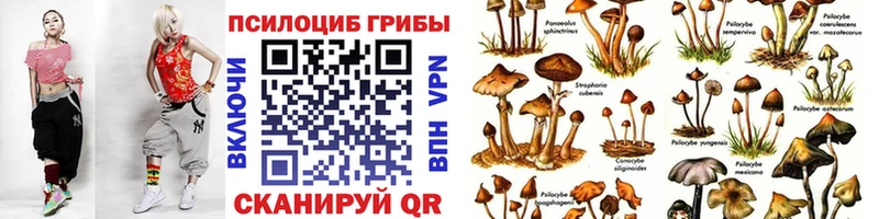 Псилоцибиновые грибы GOLDEN TEACHER Далматово